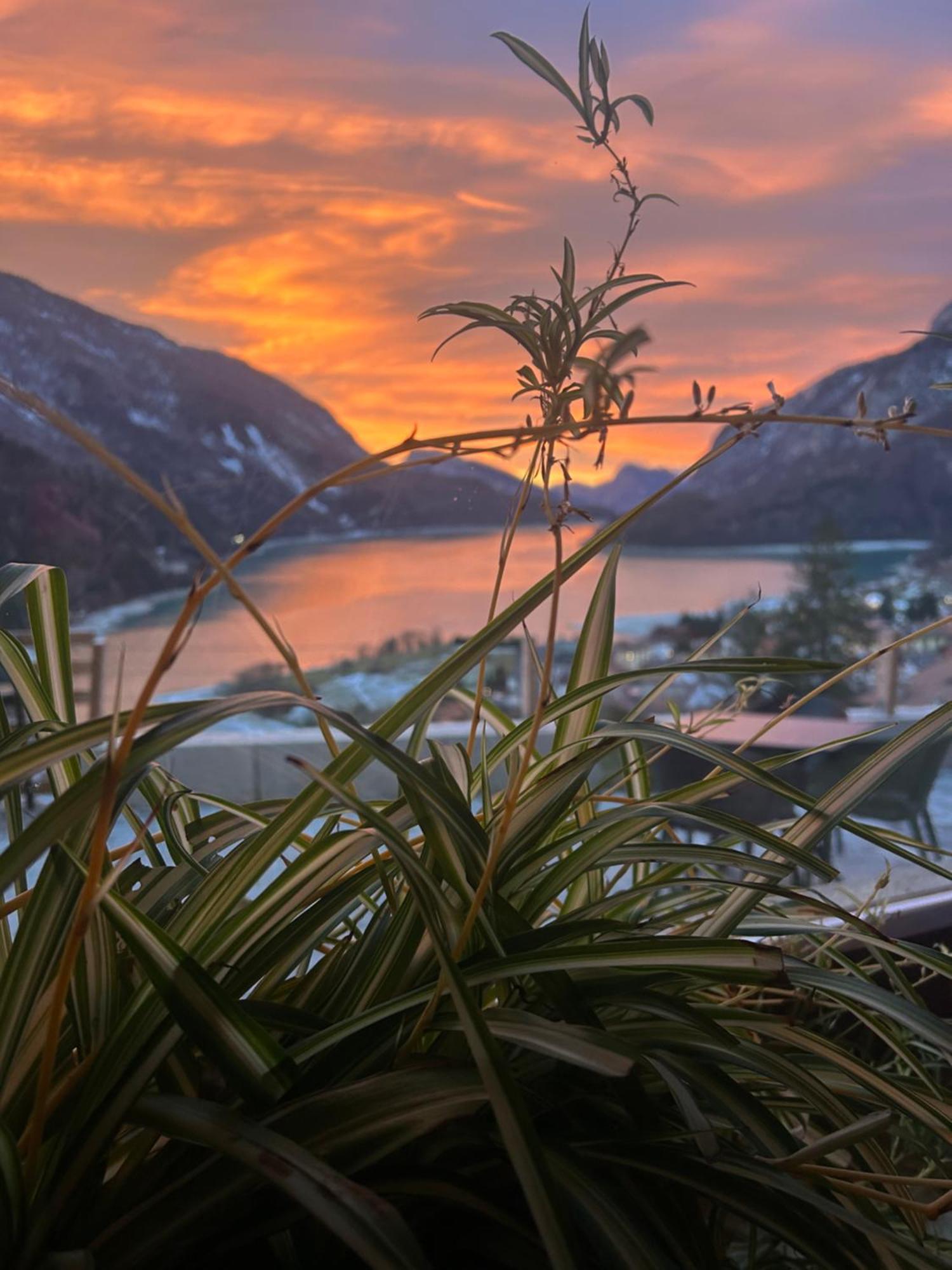 Hotel Aurora 몰베노 외부 사진